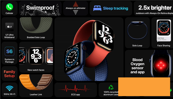 蘋果手表6和SE有什么不同-蘋果手表6和SE規(guī)格參數對比