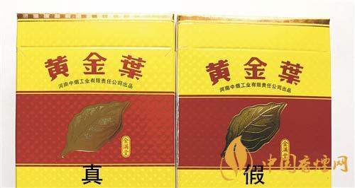 如何辨別黃金葉金滿堂真假？2020黃金葉真假辨別詳情對比