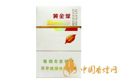 黃金葉金絲路煙多少錢(qián)一盒  黃金葉金絲路怎么樣