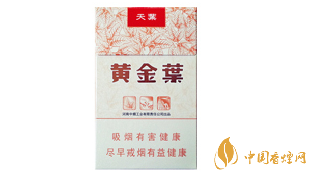 黃金葉天葉真?zhèn)卧趺幢鎰e？天葉真假如何看？