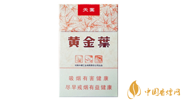 黃金葉天葉真假怎樣區(qū)分？黃金葉天葉真假識(shí)別