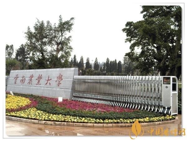 煙草專業(yè)大學(xué)排名，煙草專業(yè)就業(yè)前景好