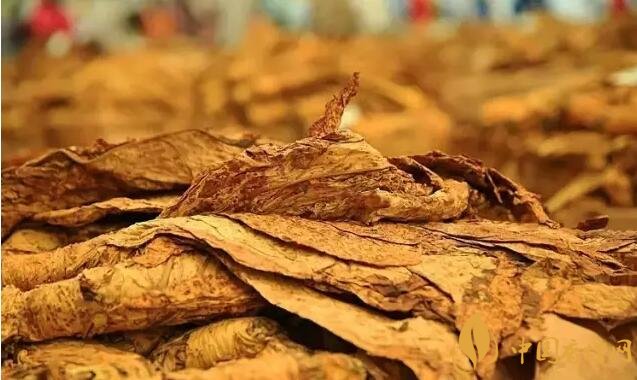 津巴布韋煙葉為什么好，黃金煙葉成為國(guó)寶